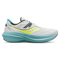 Men's Saucony Triumph 20, Fog/Mineral, 13 D Medium